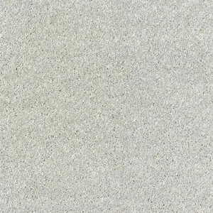 Abingdon Flooring Stainfree Olympus Stardust