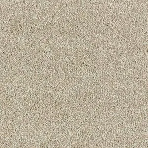 Abingdon Flooring Stainfree Olympus Sandstorm