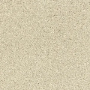 Abingdon Flooring Stainfree Olympus Lace