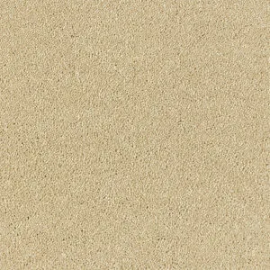 Abingdon Flooring Stainfree Olympus Sahara