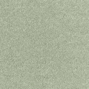 Abingdon Flooring Stainfree Olympus Fern