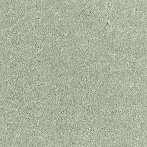 Abingdon Flooring Stainfree Olympus Fern