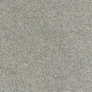 Abingdon Flooring Stainfree Olympus Metallic