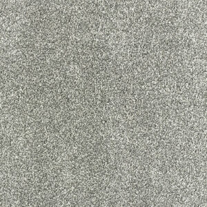 Abingdon Flooring Stainfree Olympus Titanium