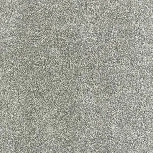 Abingdon Flooring Stainfree Olympus Titanium