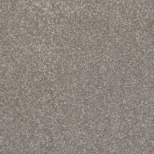 Abingdon Flooring Stainfree Caress Mocha