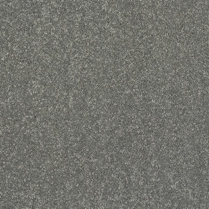 Abingdon Flooring Stainfree Caress Titanium