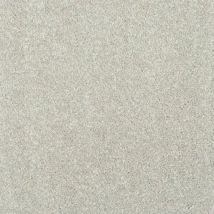 Abingdon Flooring Stainfree Finesse Suede