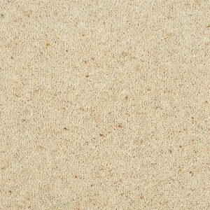 Abingdon Charter Berber Deluxe Irish Cream