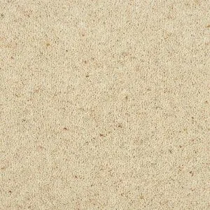 Abingdon Charter Berber Deluxe Irish Cream