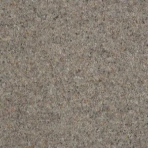 Abingdon Charter Berber Deluxe Dapple