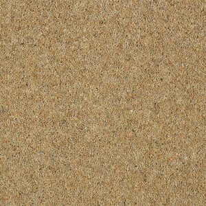Abingdon Charter Berber Deluxe Sandstone