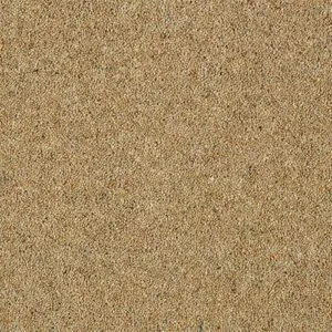 Abingdon Charter Berber Deluxe Sandstone