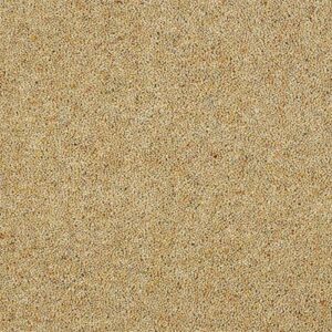 Abingdon Charter Berber Deluxe Honey Gold