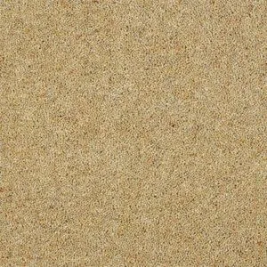 Abingdon Charter Berber Deluxe Honey Gold