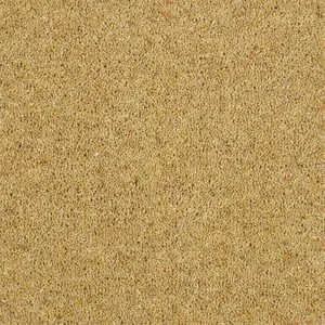 Abingdon Charter Berber Deluxe Summer Sun
