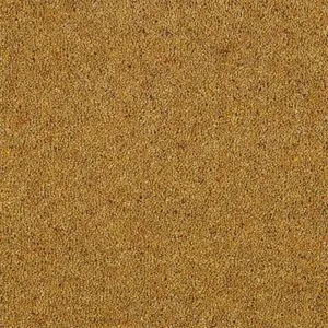 Abingdon Charter Berber Deluxe Mustard