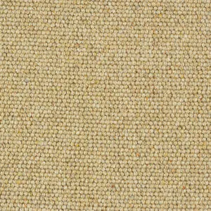 Abingdon Charter Berber Loop Honey Gold