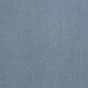 Abingdon Flooring Stainfree Captivation Oceanside