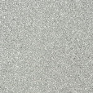 Abingdon Flooring Stainfree Twist Smoke