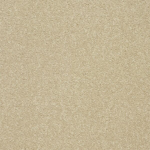 Abingdon Flooring Stainfree Twist Timeless