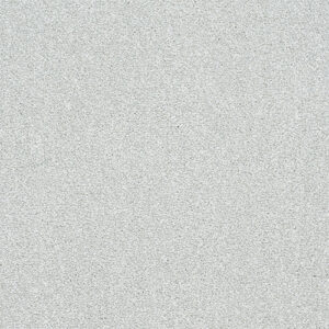 Abingdon Flooring Stainfree Twist Ice Crystal