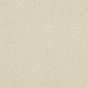 Abingdon Flooring Stainfree Ultra Powder