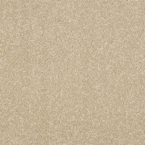 Abingdon Flooring Stainfree Maximus Dove