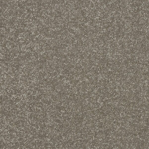 Abingdon Flooring Stainfree Maximus Velvet Crush