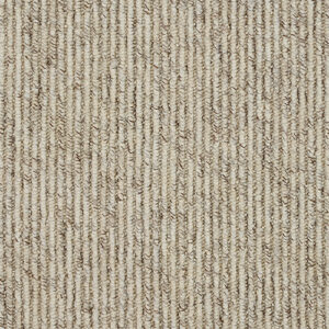 Abingdon Flooring Stainfree Country Linear Berber
