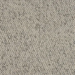 Abingdon Flooring Stainfree Country Weave Paloma