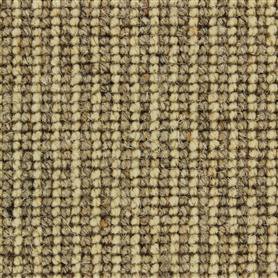 Telenzo Mainline St Paul's