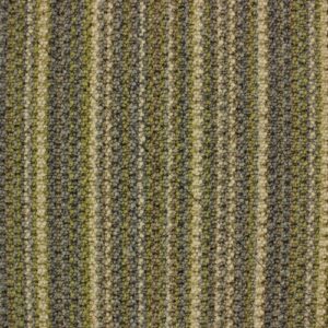 Telenzo Barbican Elderflower