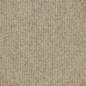 Telenzo Diversity Andean Quinoa