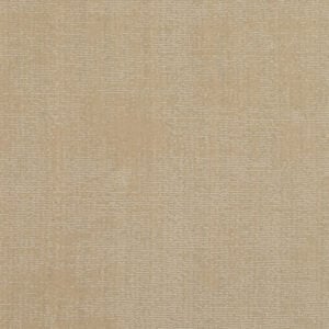 Riviera Hampstead Wild Fennel