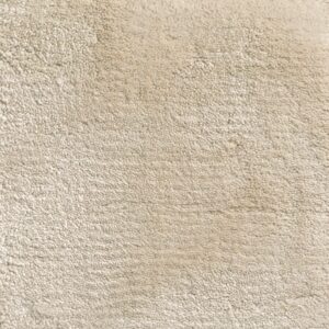 Jacaranda Agra Oyster