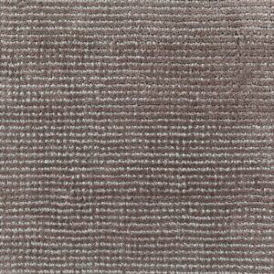 Jacaranda Almora Lichen