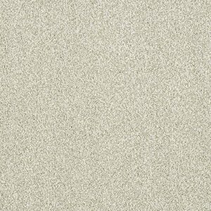 Abingdon Flooring Stainfree Aristocat Arctic Fox