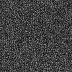 Artisan Eleganza Balena