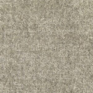 Jacaranda Babri Muscovite