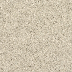 Abingdon Flooring Stainfree Caress Cotton