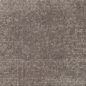 Jacaranda Chennai Dunnock