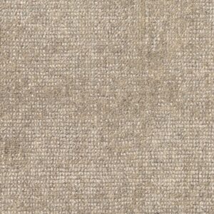 Jacaranda Chennai Owl