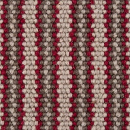 Fibre Wool Devonian Cook