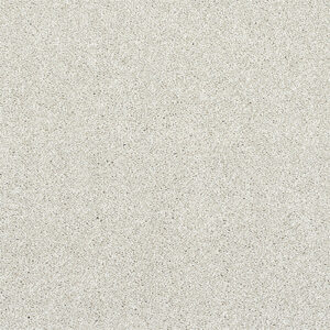 Abingdon Flooring Stainfree Finesse Champagne