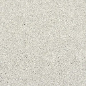 Abingdon Flooring Stainfree Finesse Champagne