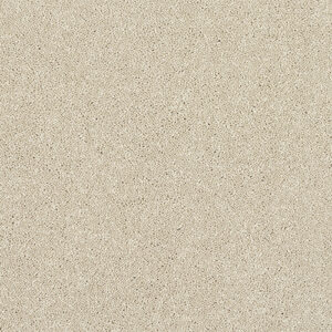 Abingdon Flooring Stainfree Finesse Cotton