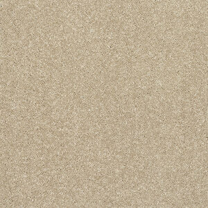 Abingdon Flooring Stainfree Finesse Latte