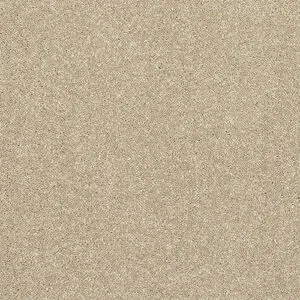 Abingdon Flooring Stainfree Finesse Latte
