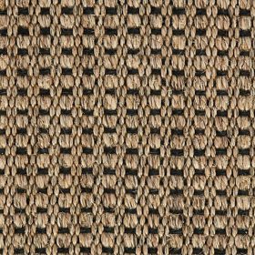 Crucial Trading Panama New Champagne Black